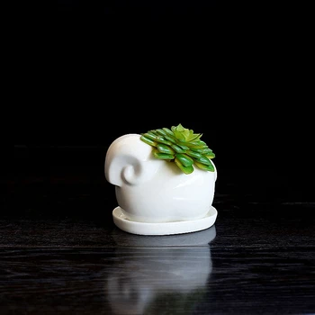 1db Aranyos Birka Fehér Kerámia Ültetvényes a pozsgás növények Díszítő pozsgás növények Pot Mini virágcserép Otthon Kert Dekoráció